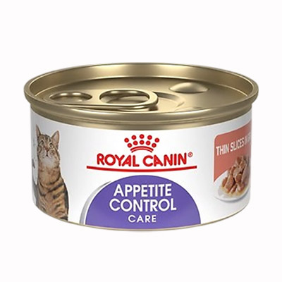 Katzen- und Hundefutter